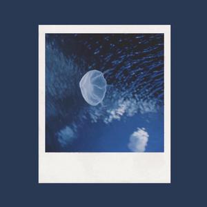 精品少妇人妻av无码久久
