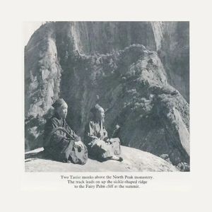 精品少妇人妻av无码久久
